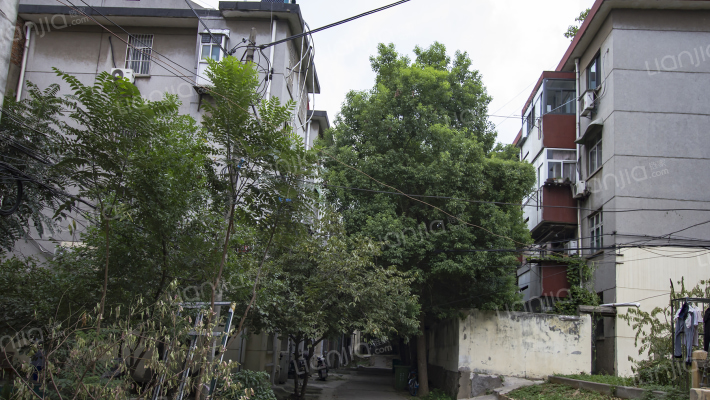 矿山新村东区外景图