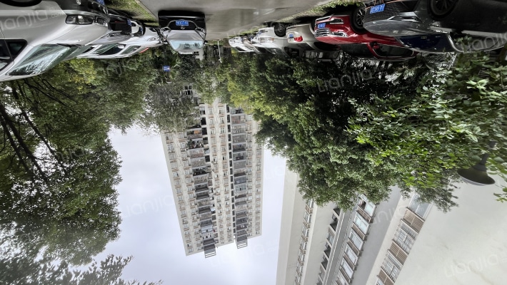 麒雅中央花园D区外景图