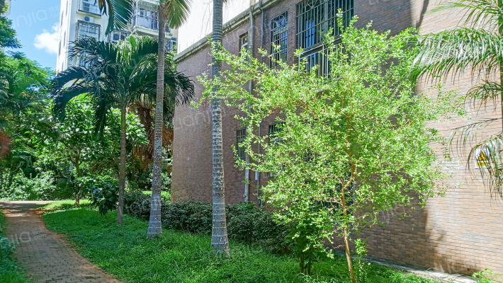 海岛阳光一期外景图