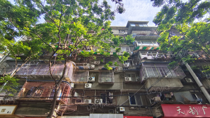 三多里86号外景图