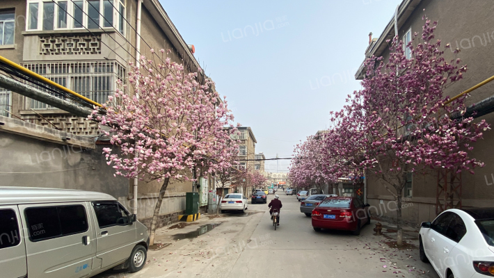 莱拖小区外景图