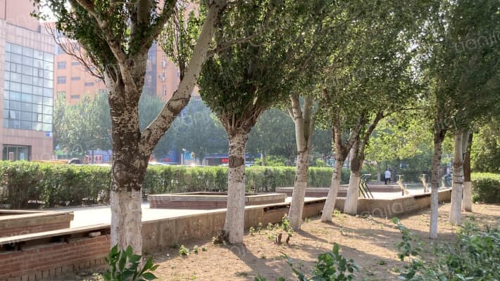 中驰国际外景图