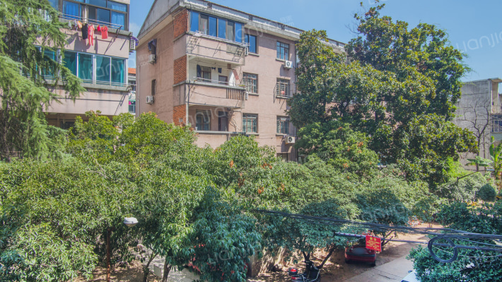 佳音街79号外景图