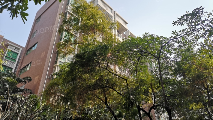 狮山阳光嘉园外景图