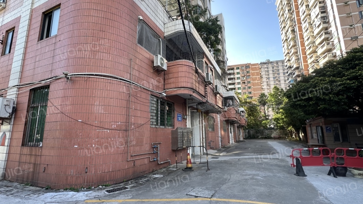 广东省食品研究所宿舍大院外景图