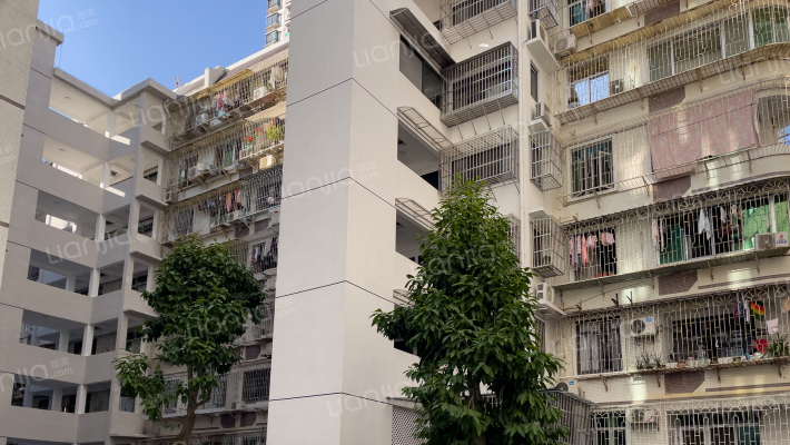 金湖路65号外景图