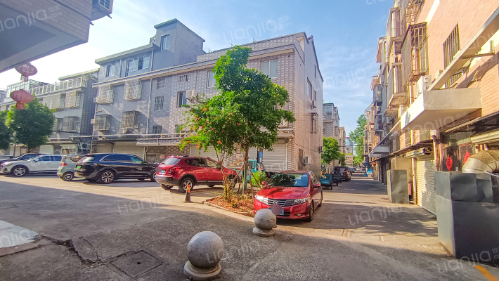 和平路517号外景图