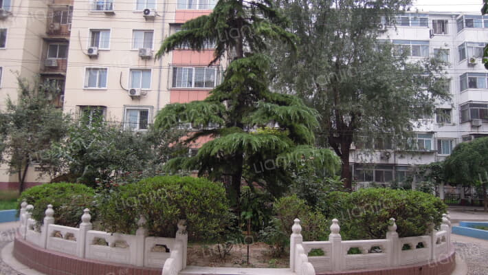 东四块玉北街外景图