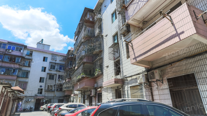 望湖花园南区外景图