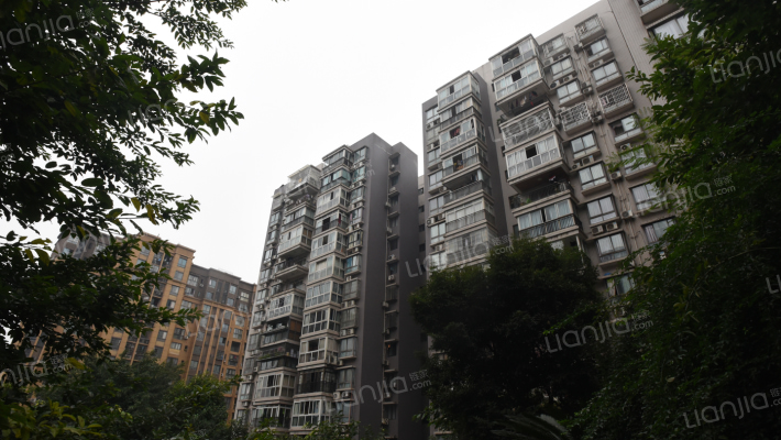 桃园芳居外景图