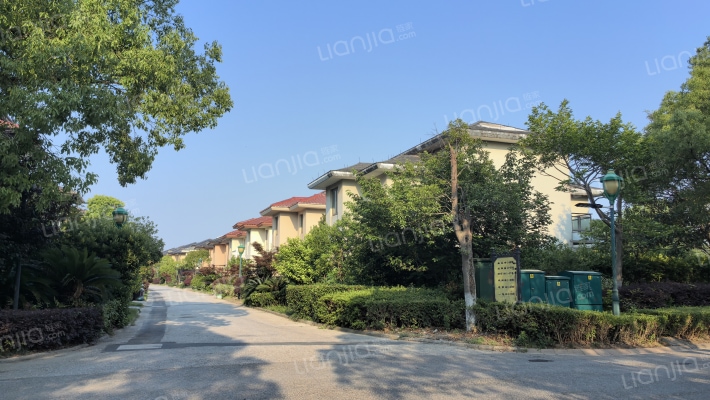 耀江淀湖桃源外景图