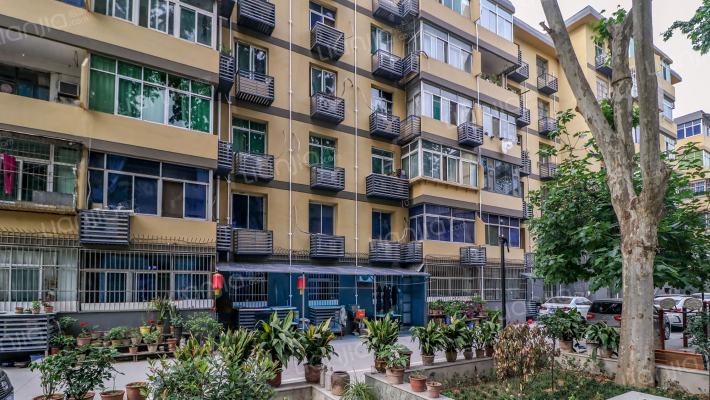 青年路76号机械厅老干部家属院外景图