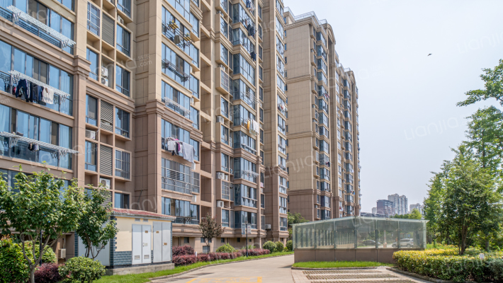 龙游花苑外景图