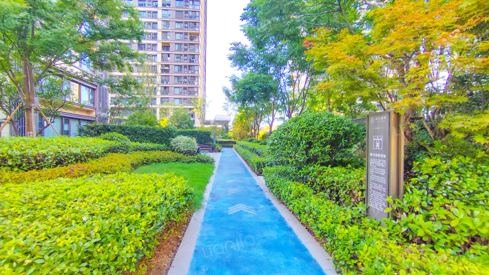 湖光锦苑外景图