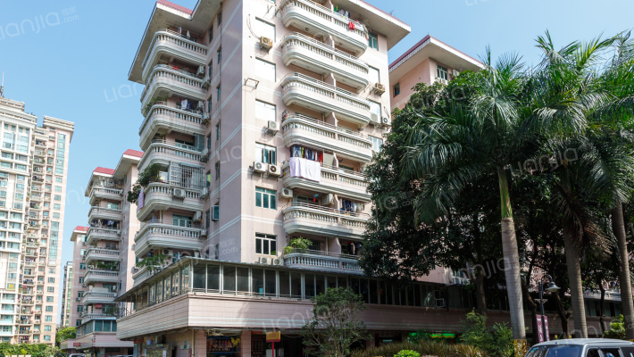 珠岛花园外景图