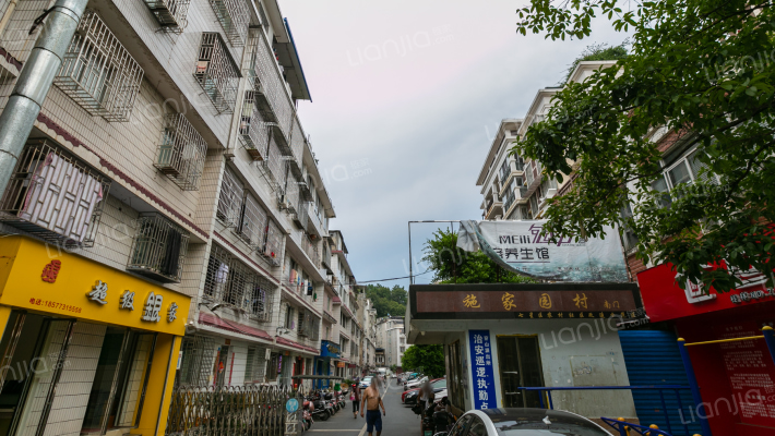 施家园村外景图