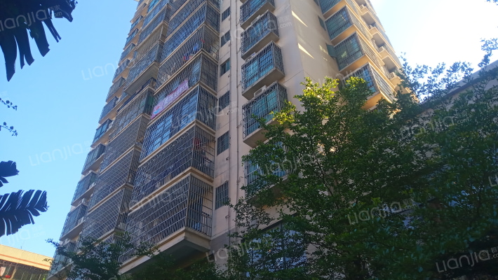 凤翔星悦外景图