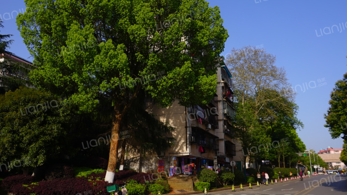 林科大教工宿舍外景图