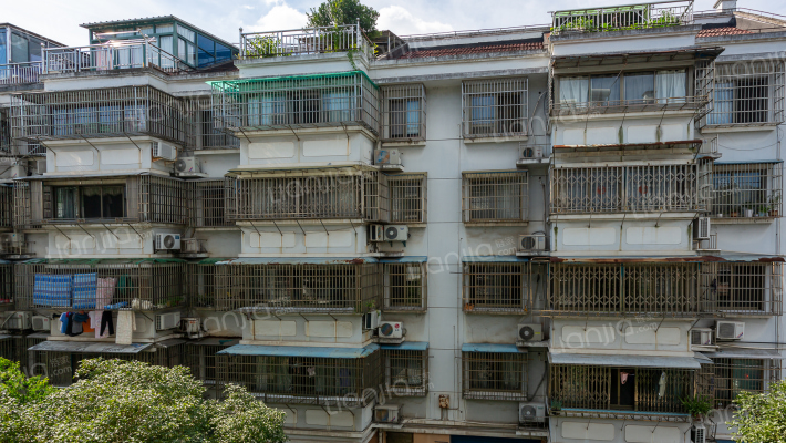 城东新村外景图