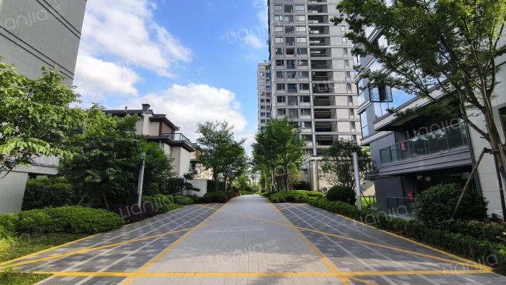 锦上云山外景图