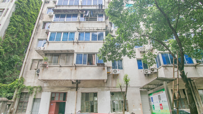 青年路257号外景图