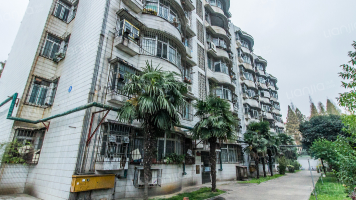 卫生局家属院(襄城区)外景图