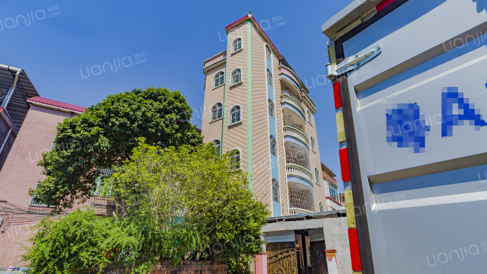 大氹村大氹南街外景图