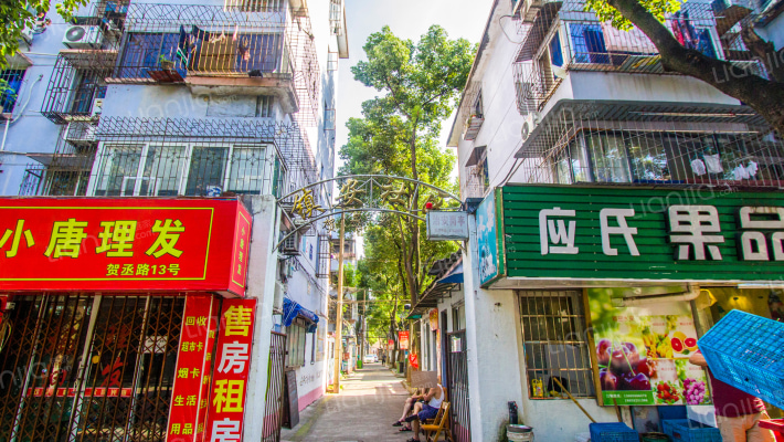 镇安社区贺丞新村外景图