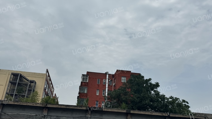 十中校内家属楼外景图