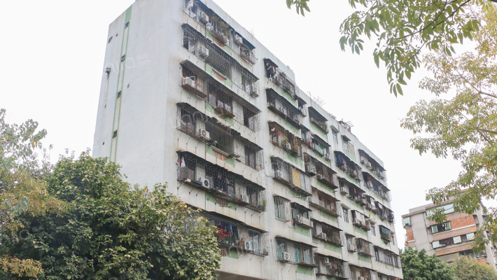 红强街153号外景图