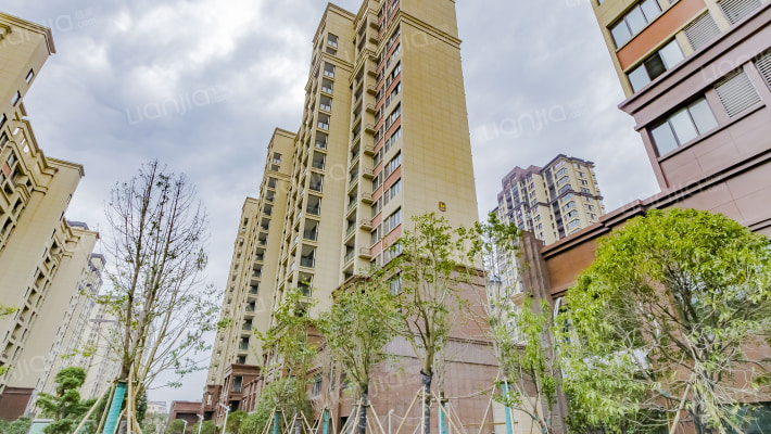 阳光水岸外景图