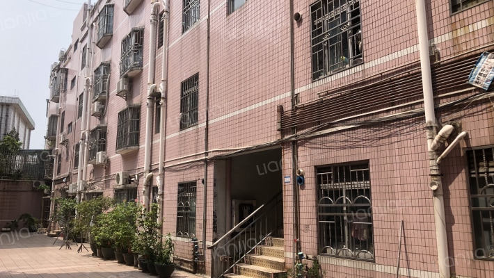 新基大厦外景图