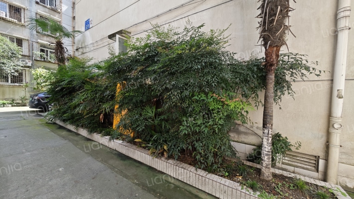 鱼凫路28号外景图