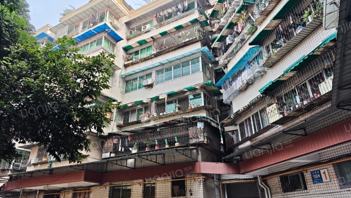 上南街150号外景图