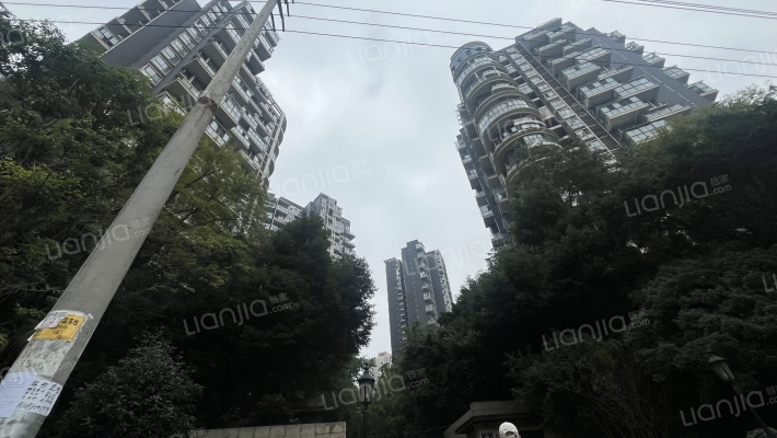 红树湾一期外景图