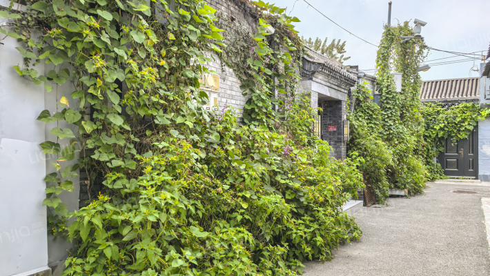 道湾胡同外景图