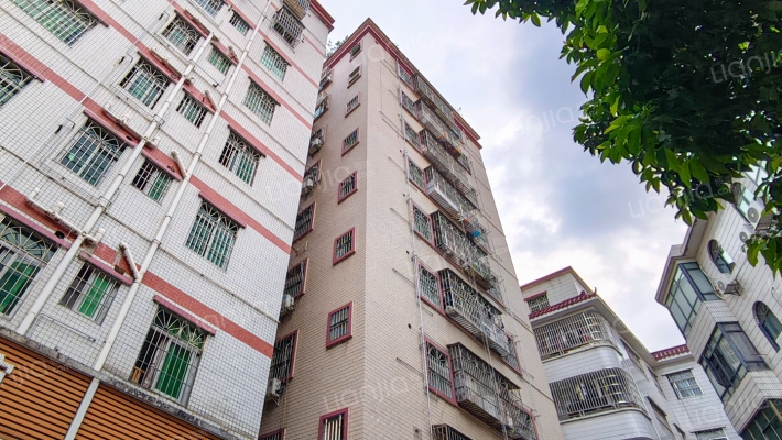 大坡头村外景图