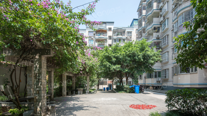 江岸丽都外景图