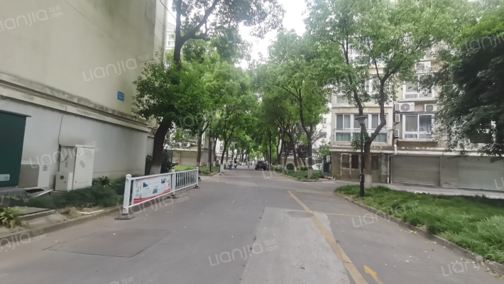 锦绣金港外景图