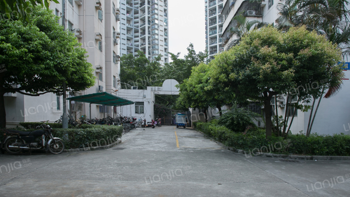 北头西苑外景图