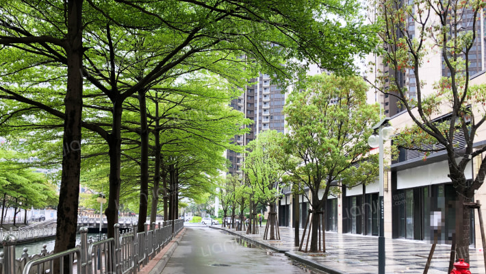 龙光天阙外景图