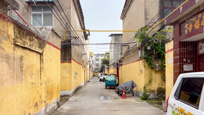 橡林东组外景图