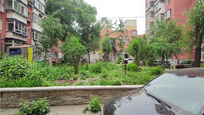 红巾小区外景图