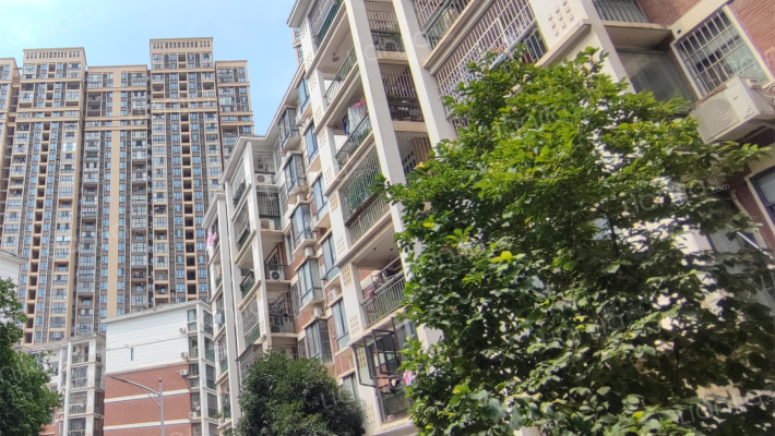 柳林雅居外景图