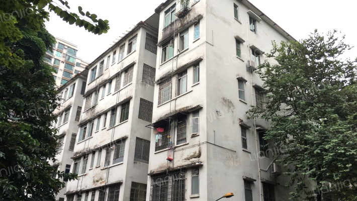 电器研究所外景图