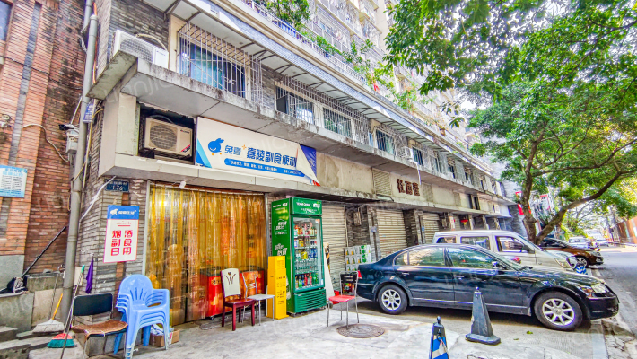 鹅岭正街外景图