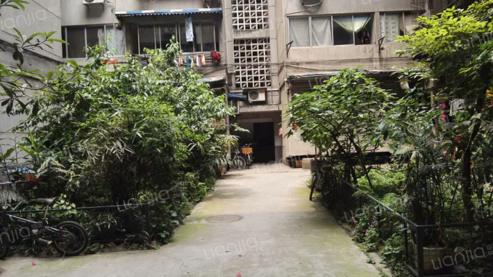 东马道街21号外景图