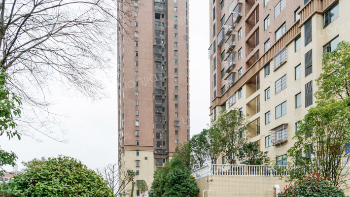 草莓街区外景图