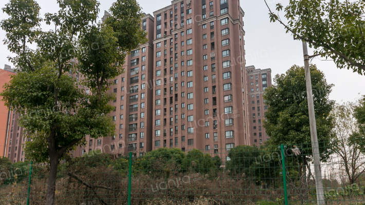 中环国际公寓(一期)外景图