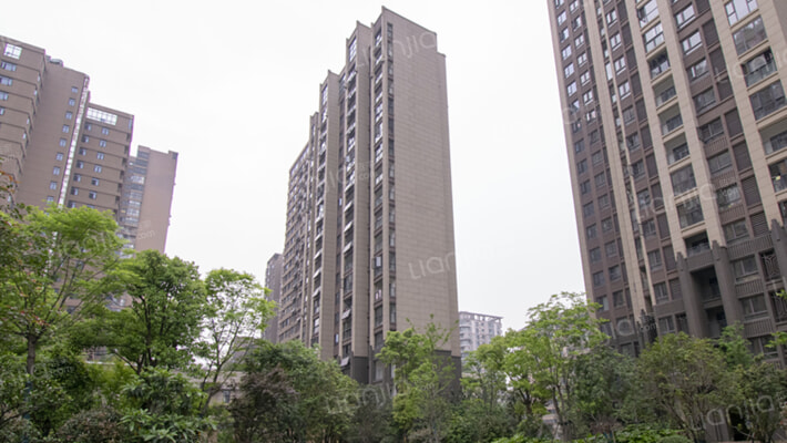 立城福第外景图